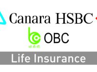 FoxIVision | India's Leading Background Screening Company